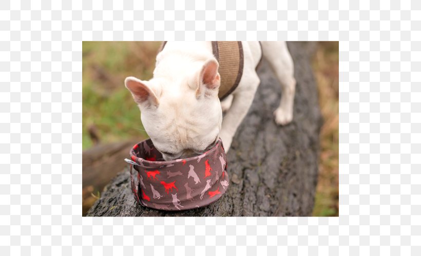 Bull Terrier Dog Breed Snout Whiskers Leash, PNG, 500x500px, Bull Terrier, Breed, Bull, Dog, Dog Breed Download Free