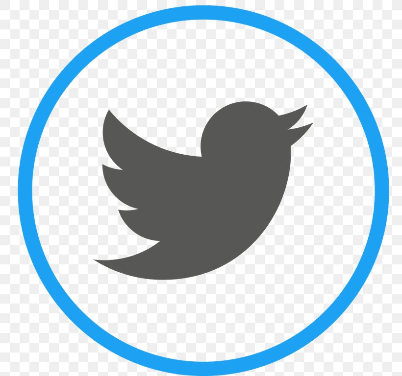 Social Media Image The Noun Project, PNG, 768x768px, Social Media, Area, Beak, Bird, Logo Download Free