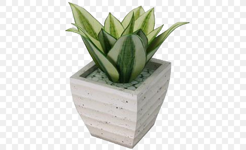 Vipers Bowstring Hemp Paper Model Ornamental Plant, PNG, 500x500px, Vipers Bowstring Hemp, Aloe, Canon, Ceramic, Flower Download Free