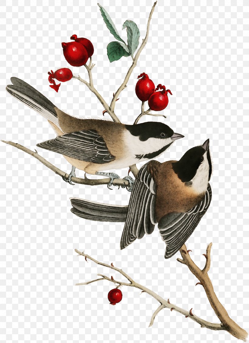 Christmas Day, PNG, 1743x2400px, Watercolor, Beak, Bird, Birthday, Black Capped Chickadee Download Free