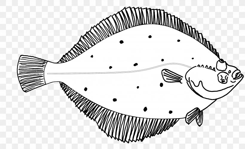 Flatfish Line Art Drawing Sketch, PNG, 3941x2398px, Flatfish, Black And White, Cartoon, Drawing, European Plaice Download Free