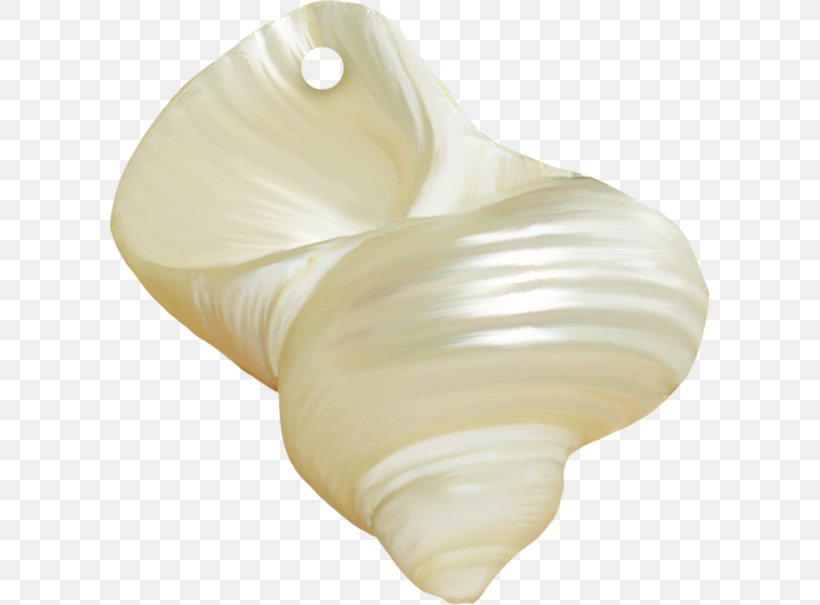 Seashell Shankha Oyster Pearl, PNG, 600x605px, Seashell, Aesthetics, Drawing, Iridescence, Oyster Download Free