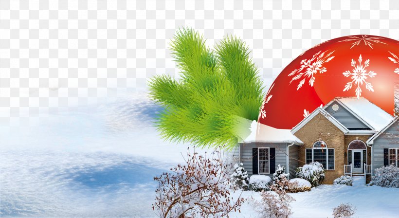 Christmas Tree, Snow, PNG, 1772x969px, Christmas Tree Snow, Android, Christmas, Christmas Ornament, Christmas Tree Download Free