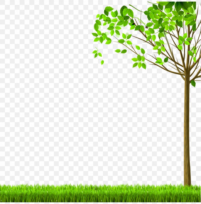 Download Clip Art, PNG, 1764x1797px, Color, Black And White, Branch, Field, Flower Download Free