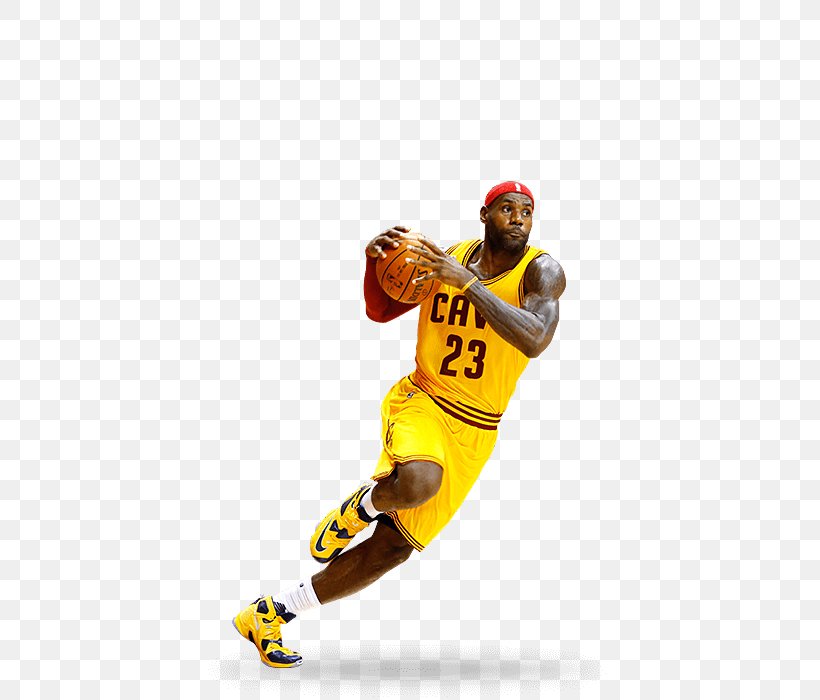 Cleveland Cavaliers Miami Heat Golden State Warriors The NBA Finals, PNG, 440x700px, Cleveland Cavaliers, Ball, Basketball, Dwyane Wade, Golden State Warriors Download Free