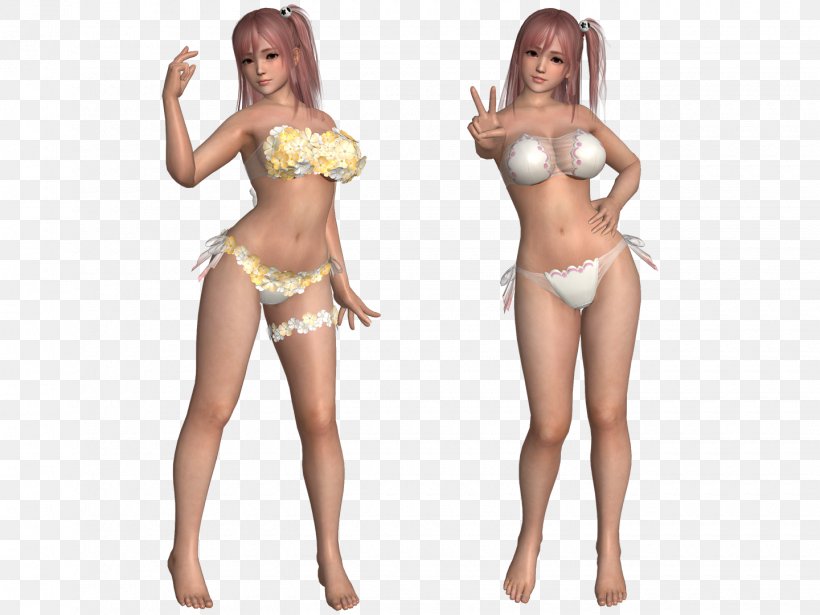 Dead Or Alive 5 Last Round Dead Or Alive Xtreme 3 Kasumi Ayane, PNG, 1440x1080px, Watercolor, Cartoon, Flower, Frame, Heart Download Free