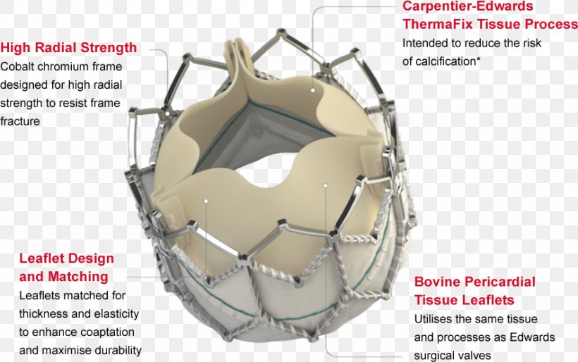 Heart Valve Percutaneous Aortic Valve Replacement Edwards Lifesciences, PNG, 885x555px, Heart Valve, Aortic Valve, Aortic Valve Replacement, Automotive Tire, Catheter Ablation Download Free
