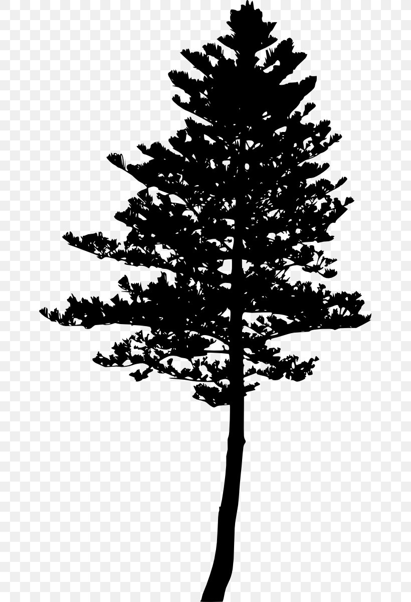 Tree Pine Silhouette Woody Plant Evergreen, PNG, 663x1200px, Tree, Black And White, Branch, Christmas Tree, Conifer Download Free