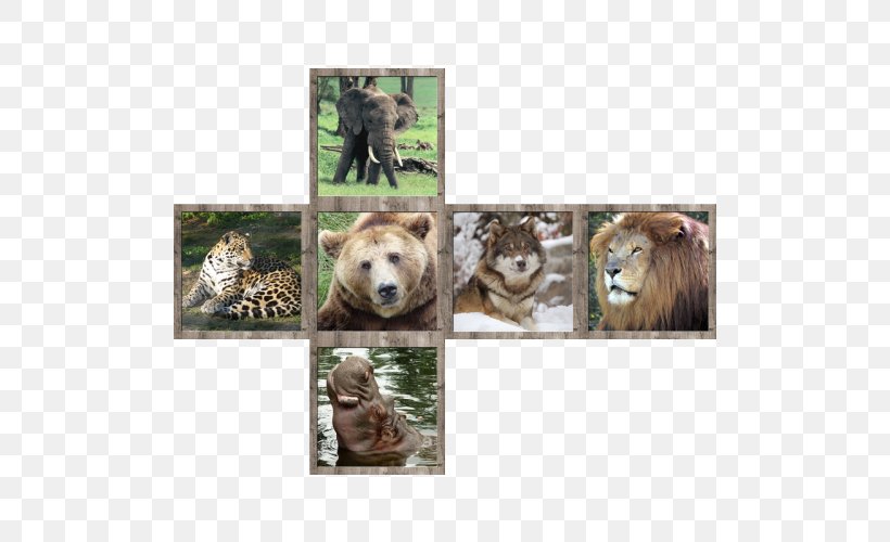 V-Cube 7 Wildlife Animal Cat, PNG, 500x500px, Cube, Animal, Animal Sauvage, Bear, Big Cat Download Free