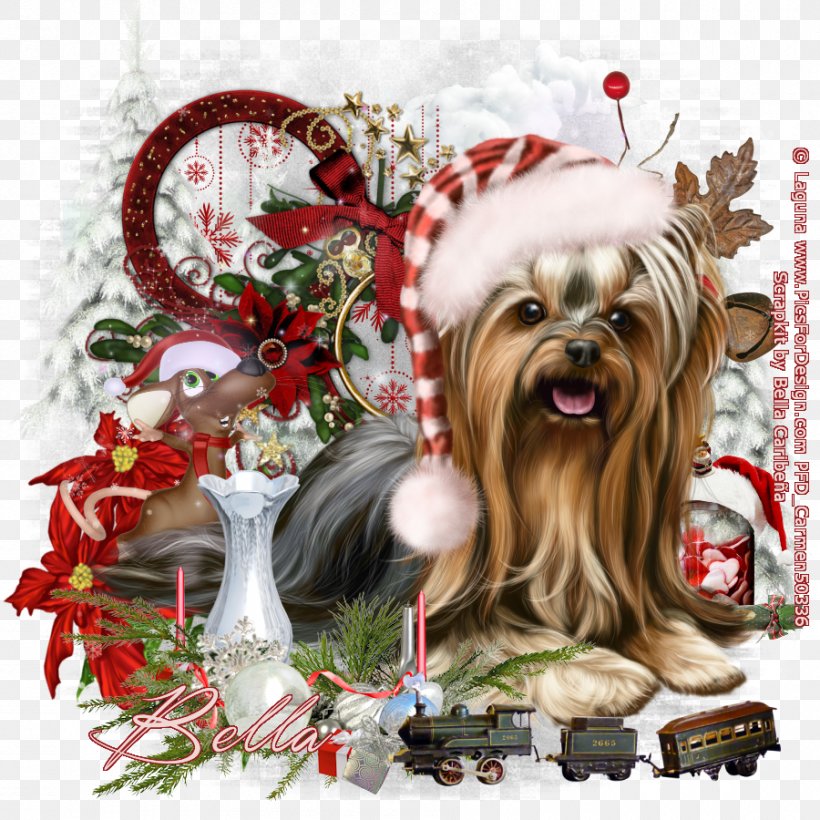 Yorkshire Terrier Dog Breed Christmas Ornament Companion Dog Toy Dog, PNG, 900x900px, Yorkshire Terrier, Breed, Carnivoran, Christmas, Christmas Decoration Download Free