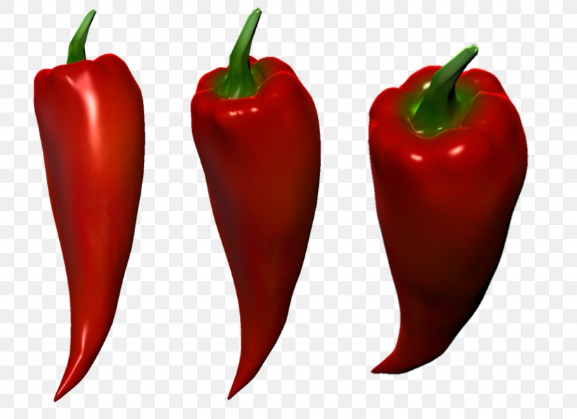 Habanero University For The Creative Arts, Rochester Campus Bird's Eye Chili Bell Pepper Tabasco Pepper, PNG, 1600x1163px, Habanero, Animation, Art, Bell Pepper, Bell Peppers And Chili Peppers Download Free