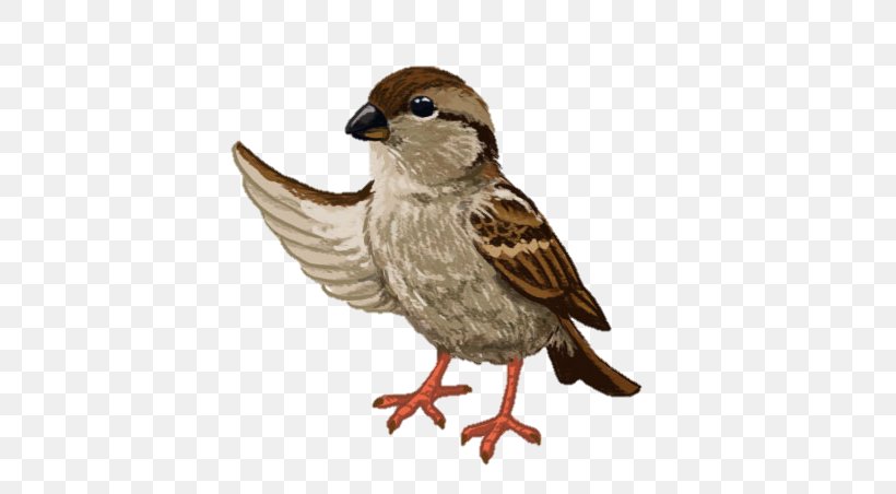 House Sparrow Koshkin Dom Verse Fairy Tale, PNG, 640x452px, House Sparrow, Animation, Beak, Bird, Fairy Tale Download Free