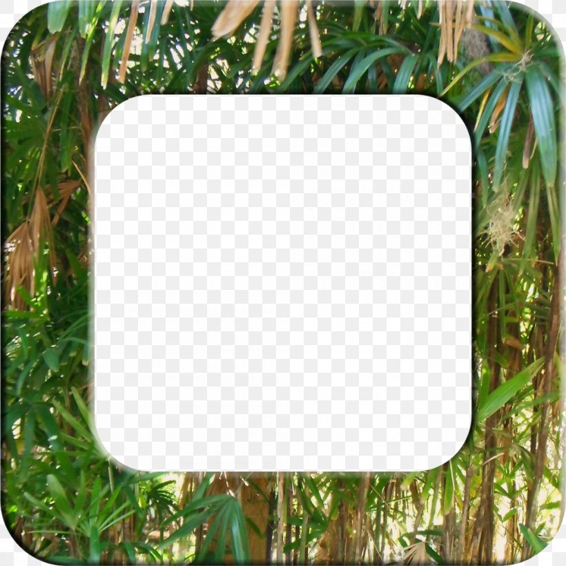Picture Frames Borders And Frames Clip Art, PNG, 1000x1000px, Picture Frames, Borders And Frames, Copying, Grass, Information Download Free