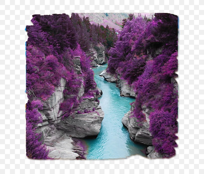 Shotover River Color Skye Photography Palette, PNG, 640x700px, Color, Blue, Color Scheme, Flower, Lavender Download Free