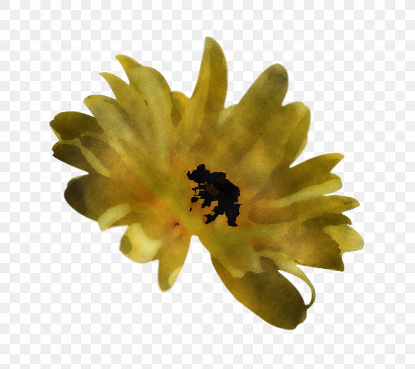 Spring Flower Spring Floral Flowers, PNG, 1436x1280px, Spring Flower, Calendula, Daisy Family, English Marigold, Flower Download Free