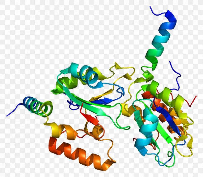 RNA Splicing Gene SF3B1 Protein Spliceosome, PNG, 838x732px, Rna Splicing, Area, Artwork, Body Jewelry, Gene Download Free