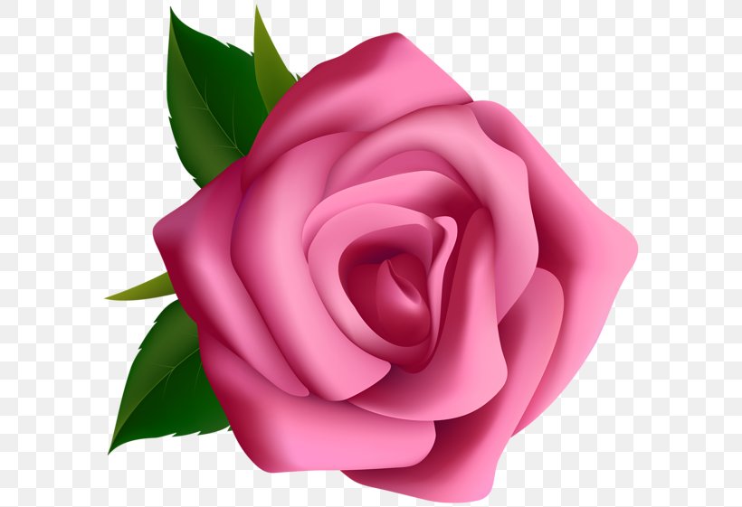 Rose Clip Art, PNG, 600x561px, Rose, Art, Blog, China Rose, Close Up Download Free