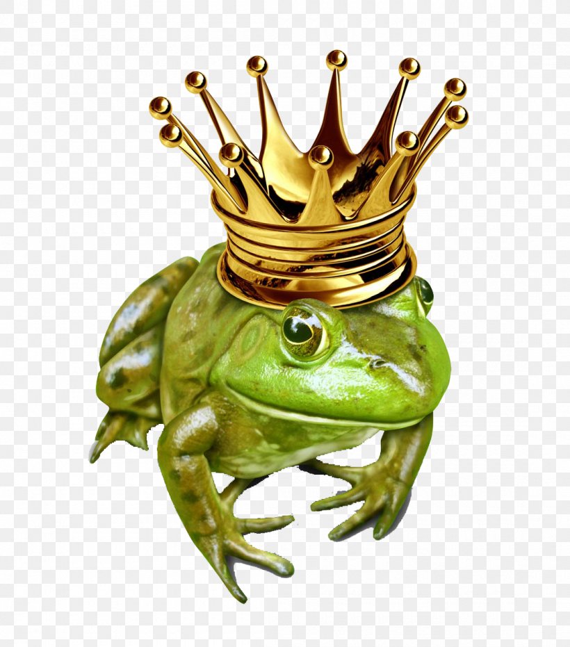 The Frog Prince Stock Illustration Stock Photography, PNG, 1100x1250px, Frog Prince, Amphibian, Drawing, Fairy Tale, Fotosearch Download Free