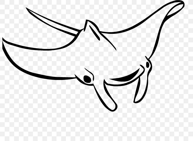 Giant Oceanic Manta Ray Drawing Batoidea Myliobatoidei Clip Art, PNG, 800x600px, Giant Oceanic Manta Ray, Animal, Area, Art, Artwork Download Free