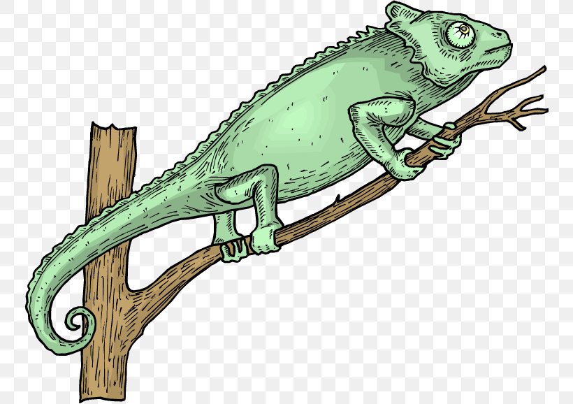 Lizard Chameleons Green Iguana Reptile Clip Art, PNG, 750x578px, Lizard, Amphibian, Chameleon, Chameleons, Common Iguanas Download Free