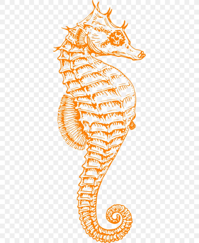 Seahorse Syngnathidae Clip Art Free Content Openclipart, PNG, 500x1000px, Seahorse, Animal, Area, Art, Drawing Download Free
