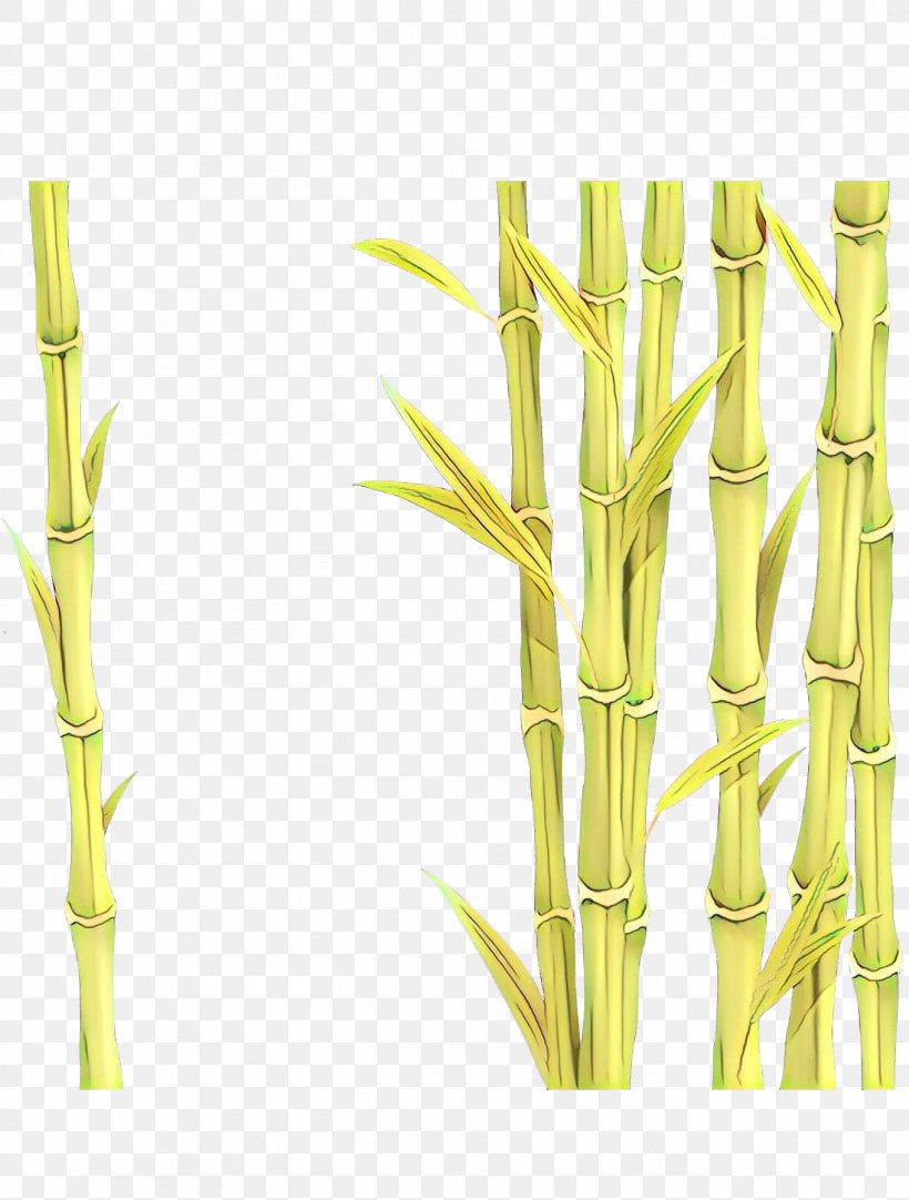 Bamboo Plant Stem Plant Branch Grass Family, PNG, 1361x1797px, Cartoon, Bamboo, Bamboo Shoot, Branch, Elymus Repens Download Free