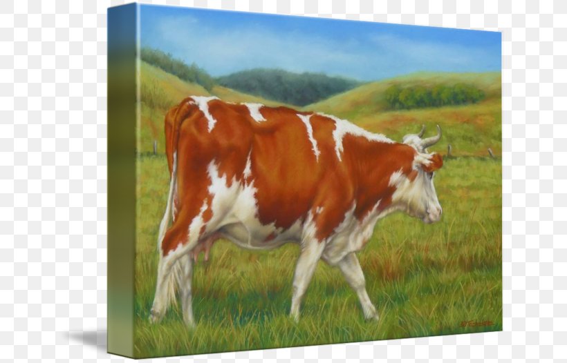 Dairy Cattle Calf Pasture Painting, PNG, 650x526px, Dairy Cattle, Calf, Cattle, Cattle Like Mammal, Cow Goat Family Download Free
