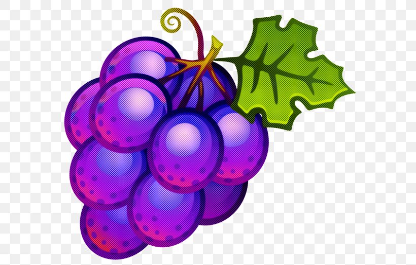 Grape Grapevine Family Purple Violet Vitis, PNG, 600x522px, Grape, Fruit, Grapevine Family, Plant, Purple Download Free