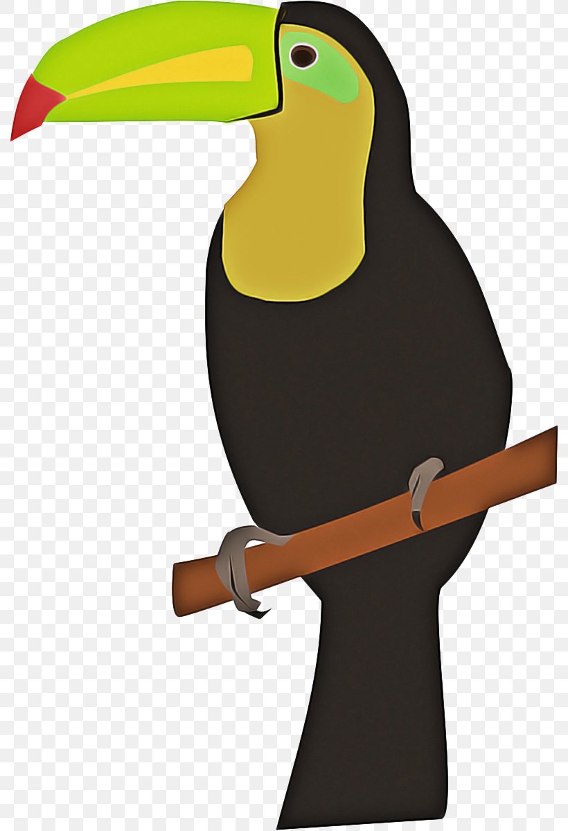 Hornbill Bird, PNG, 792x1199px, Toucan, Beak, Bird, Coraciiformes, Drawing Download Free