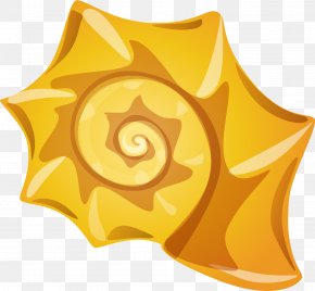 Hand Painted Yellow Snail Shell - Orthogastropoda PNG