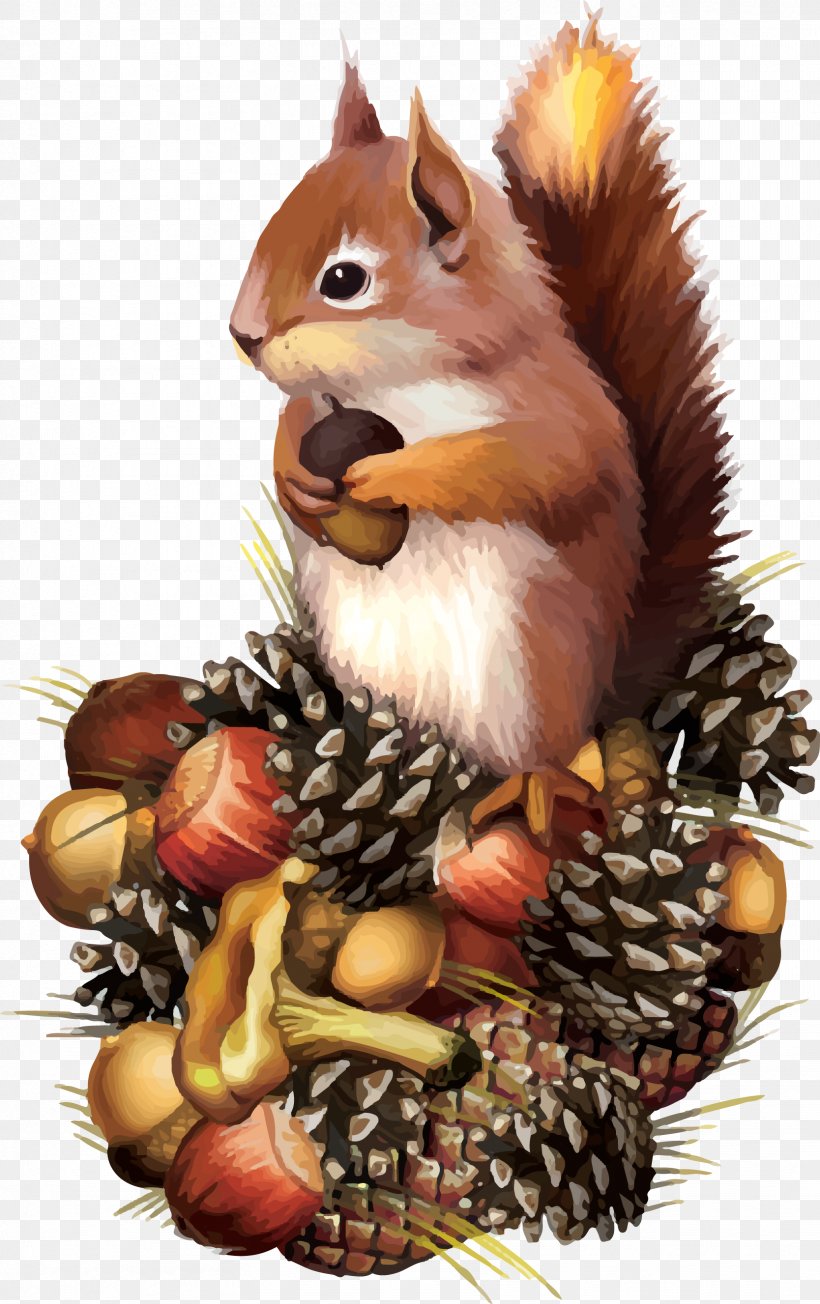 Red Squirrel Chipmunk Clip Art, PNG, 1668x2654px, Squirrel, Chipmunk, Drawing, Eastern Gray Squirrel, Mammal Download Free