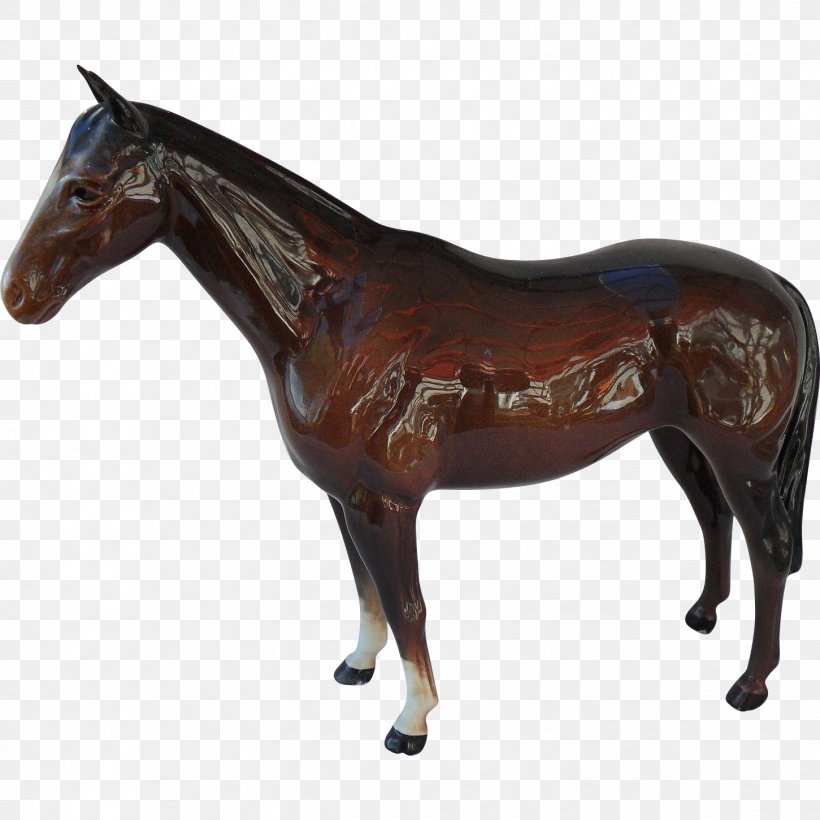Arabian Horse American Quarter Horse Mustang Foal Appaloosa, PNG, 1451x1451px, Arabian Horse, American Quarter Horse, Appaloosa, Bay, Breed Download Free