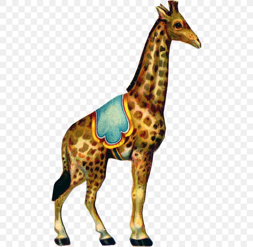 Circus Clip Art Image Graphics Giraffe, PNG, 486x800px, Circus, Acrobatics, Animal, Animal Figure, Art Download Free