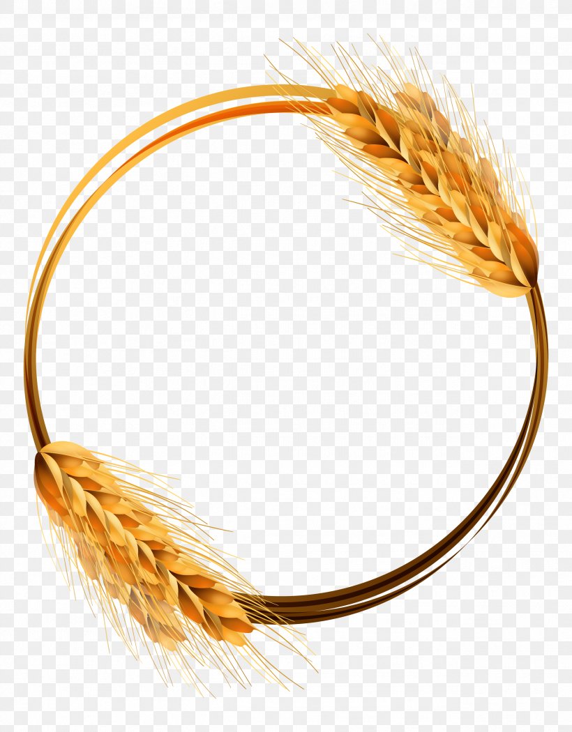 Common Wheat Ear Crop, PNG, 2533x3246px, Common Wheat, Agriculture, Bread, Cereal, Commodity Download Free