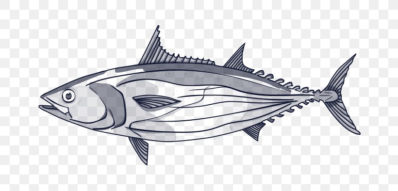 Fish Cartoon, PNG, 682x394px, Swordfish, Albacore Fish, Atlantic Bluefin Tuna, Atlantic Bonito, Bonyfish Download Free