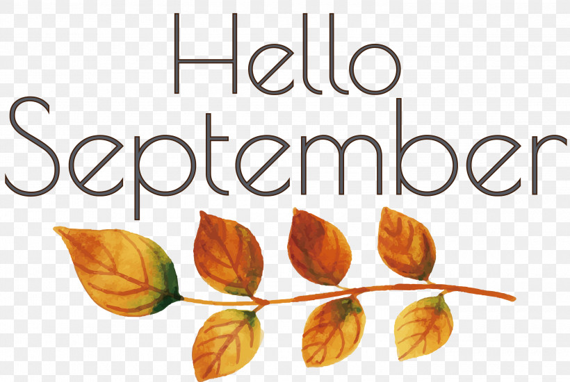 Hello September September, PNG, 3000x2015px, Hello September, Biology, Fruit, Leaf, Meter Download Free