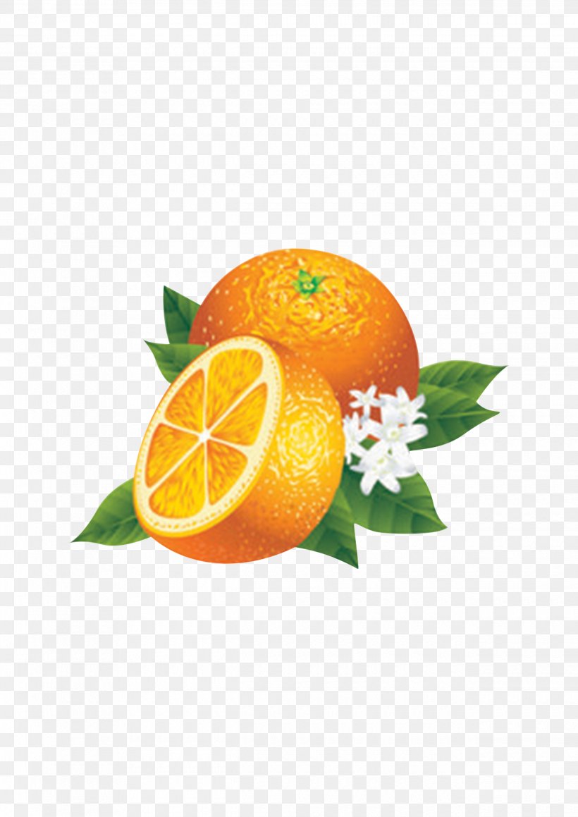 Juice Lemon Fruit Orange, PNG, 2480x3508px, Juice, Bitter Orange, Citric Acid, Citrus, Clementine Download Free