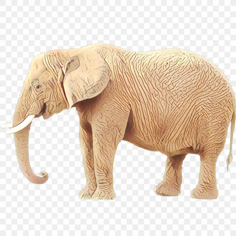 African Elephant Indian Elephant Tusk Terrestrial Animal, PNG, 989x989px, African Elephant, Animal, Animal Figure, Elephant, Elephants And Mammoths Download Free