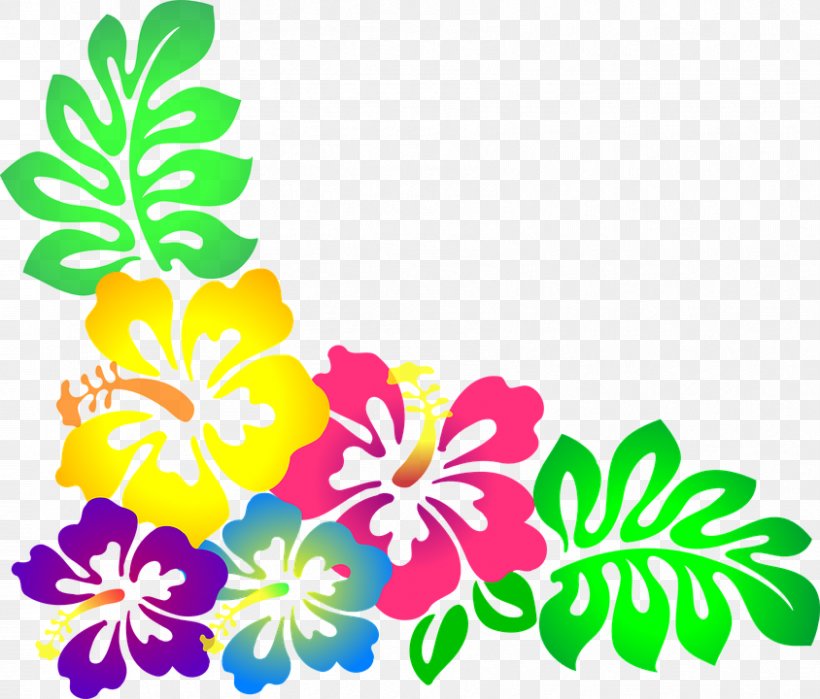 Hawaiian Borders And Frames Flower Clip Art, PNG, 844x720px, Hawaii, Borders And Frames, Cut Flowers, Flora, Floral Design Download Free