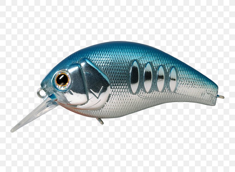 Spoon Lure Oily Fish Herring Milkfish Blue, PNG, 800x600px, Spoon Lure, Bait, Blue, Cartuccia Magnum, Depth Download Free
