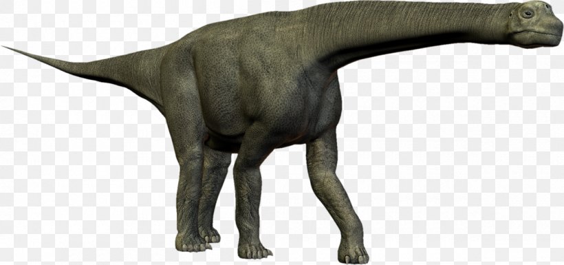 Tyrannosaurus Velociraptor Animal, PNG, 1200x564px, Tyrannosaurus, Animal, Animal Figure, Dinosaur, Tail Download Free