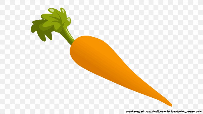 Vegetable Food Fruit, PNG, 1280x720px, Vegetable, Food, Fruit, Orange, Plant Download Free