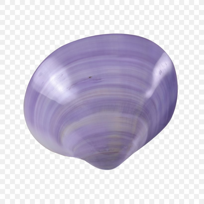 Clam Seashell Purple Violet Lilac, PNG, 1100x1100px, Clam, Banana, Blue, Discover Card, Dye Download Free