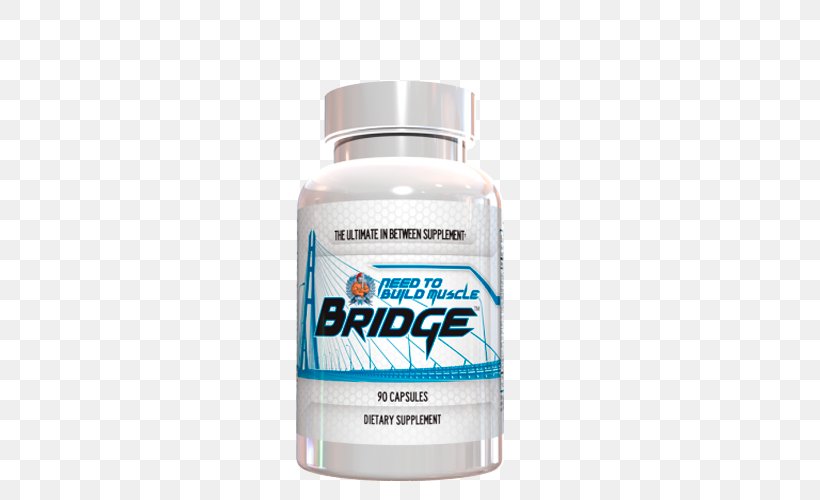 Dietary Supplement Bodybuilding Supplement Anabolic Steroid Muscle, PNG, 500x500px, Dietary Supplement, Anabolic Steroid, Bodybuilding, Bodybuilding Supplement, Bridge Download Free