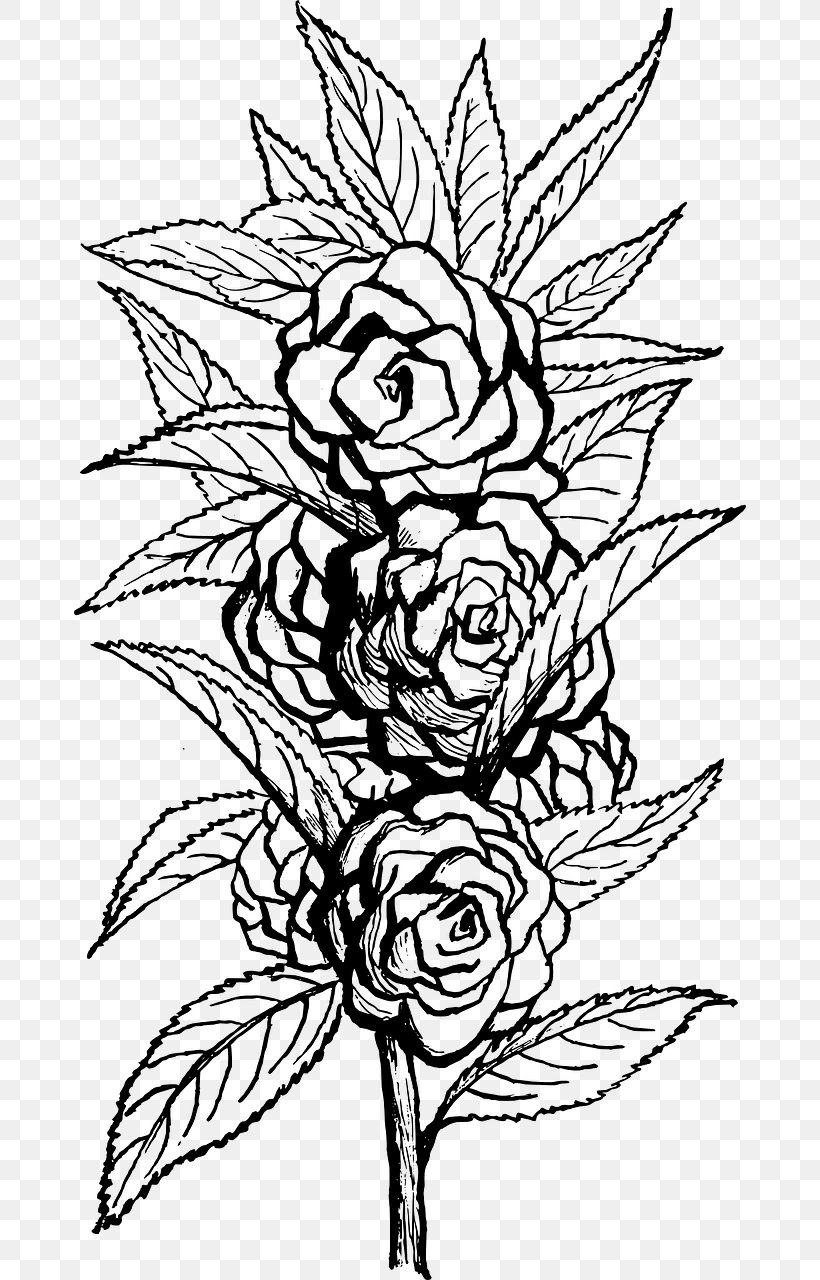 Floral Design Flower Clip Art, PNG, 672x1280px, Floral Design, Art, Artwork, Black And White, Branch Download Free