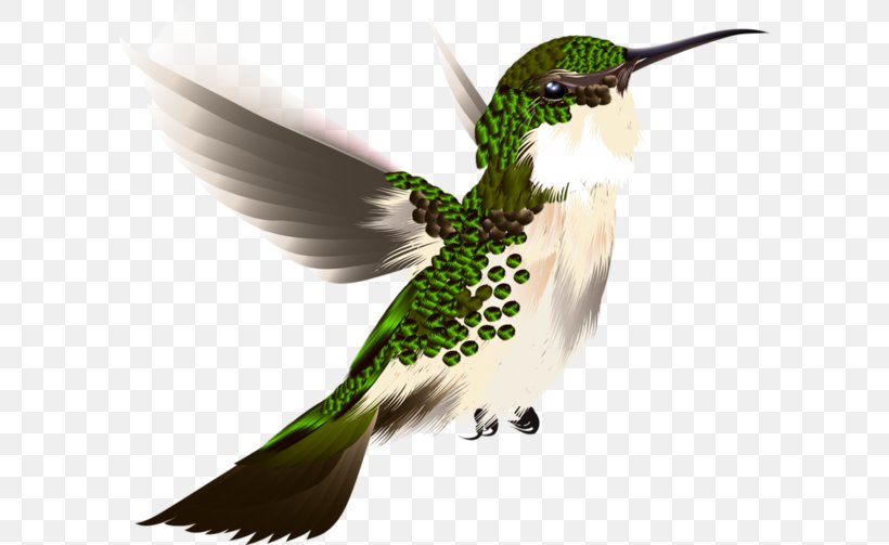 Hummingbird, PNG, 600x503px, Watercolor, Cartoon, Flower, Frame, Heart Download Free