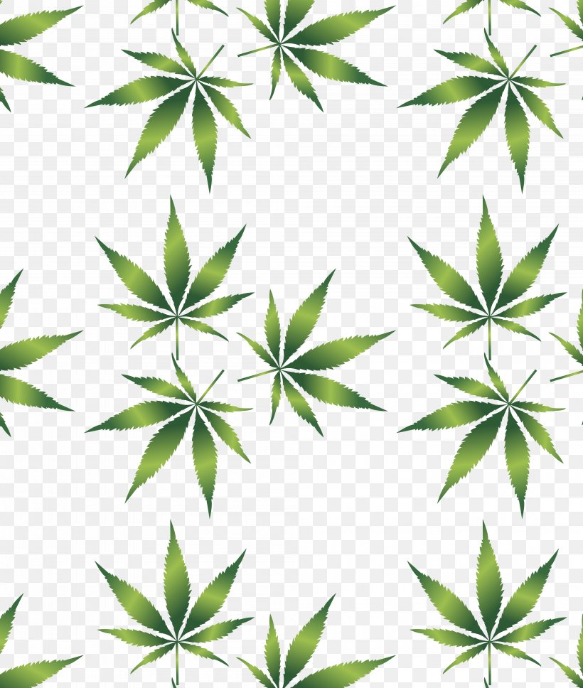 Medical Cannabis Leaf Hemp Drug, PNG, 4000x4726px, Cannabis, Branch, Cannabis Sativa, Cannabis Smoking, Drug Download Free