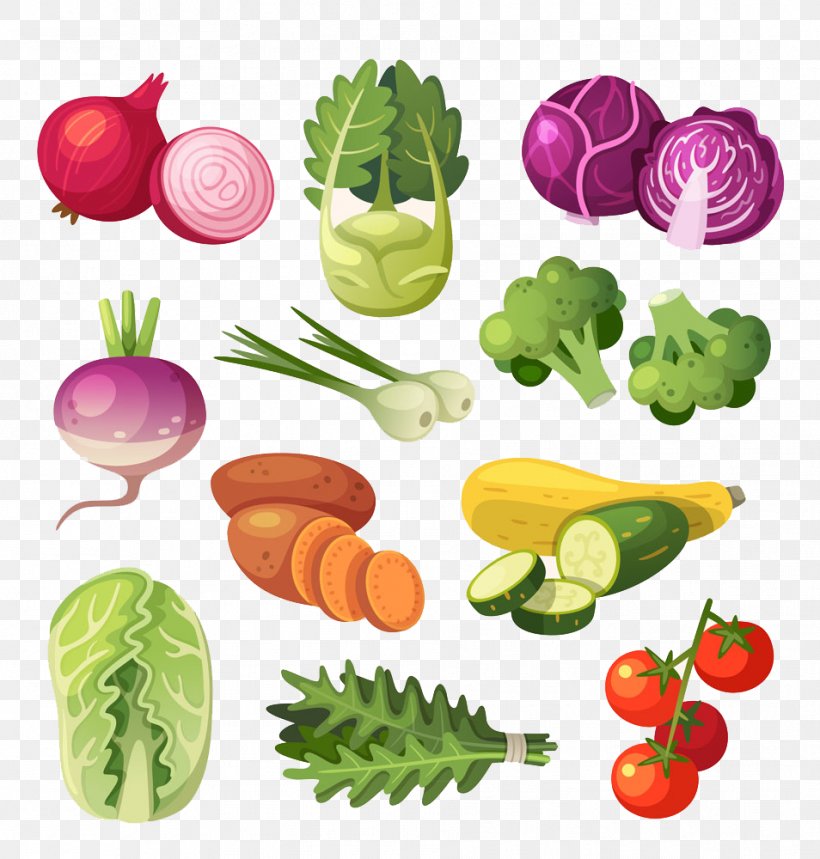 Vegetable Illustration, PNG, 954x1000px, Vegetable, Cabbage, Creative Market, Diet Food, Food Download Free