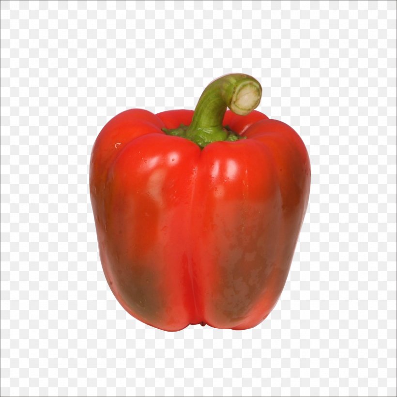Chili Pepper Red Bell Pepper Vegetarian Cuisine, PNG, 1773x1773px, Chili Pepper, Apple, Bell Pepper, Bell Peppers And Chili Peppers, Capsicum Download Free