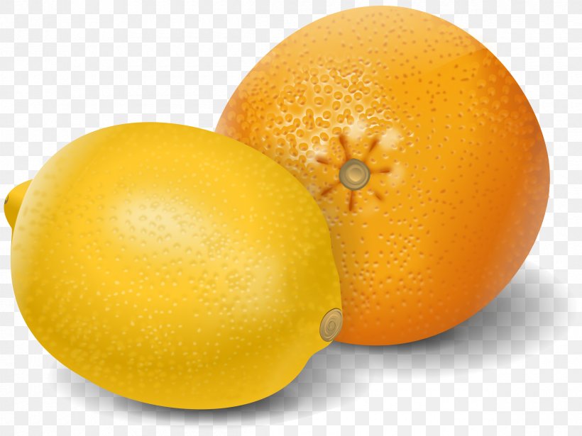 Orange Juice Lemon Mandarin Orange Grapefruit, PNG, 2400x1800px, Orange Juice, Calamondin, Citric Acid, Citron, Citrus Download Free